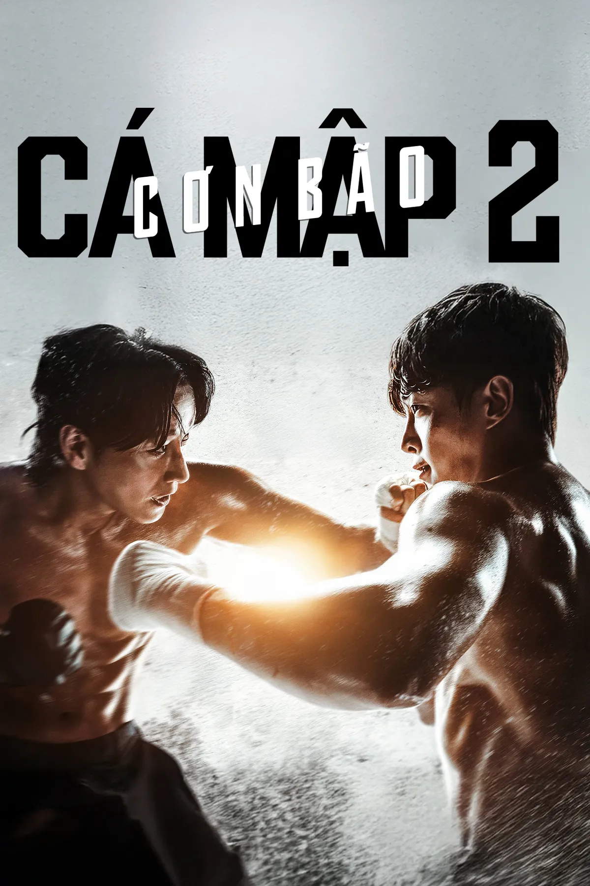 Phim Cá Mập 2: Cơn Bão - Shark 2: The Storm (2025)