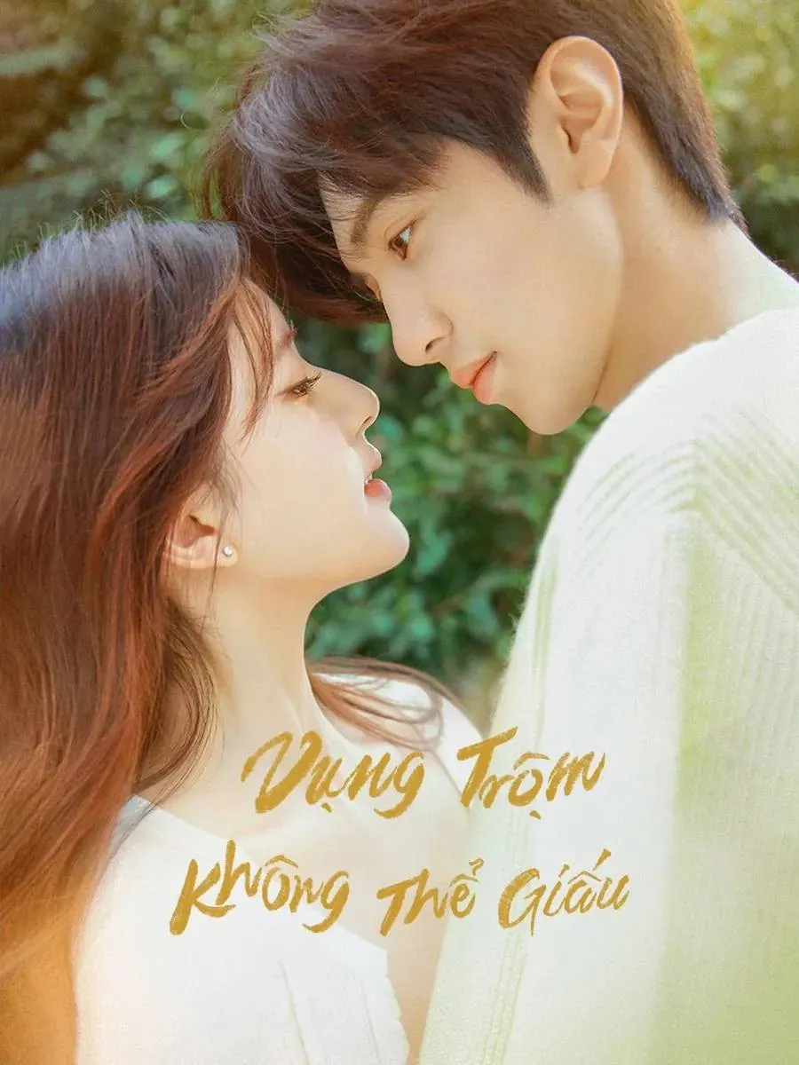 Phim Vụng Trộm Không Thể Giấu - Hidden Love (2023)